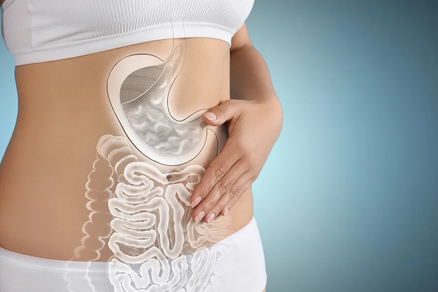 Gut-Health-Doctor Close up of the midriff of a woman with white underwear and an illustration of the digestive system superimposed over the image. Get help for digestive issues and gut health from Anita Petruzzelli, M.D. in Glastonbury.